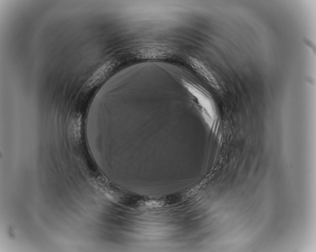 X0000096410163200802141548