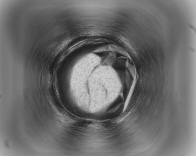 X0000096410164200802141548