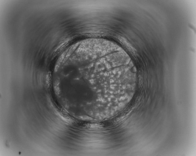 X0000096410165200802141548