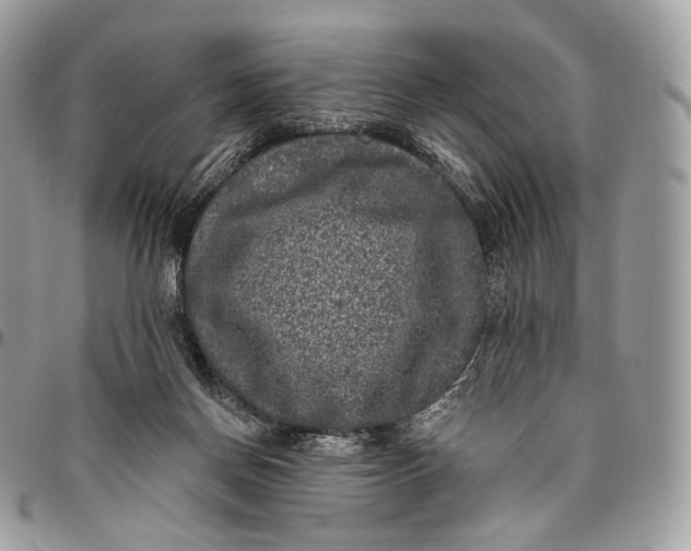 X0000096410166200802141548