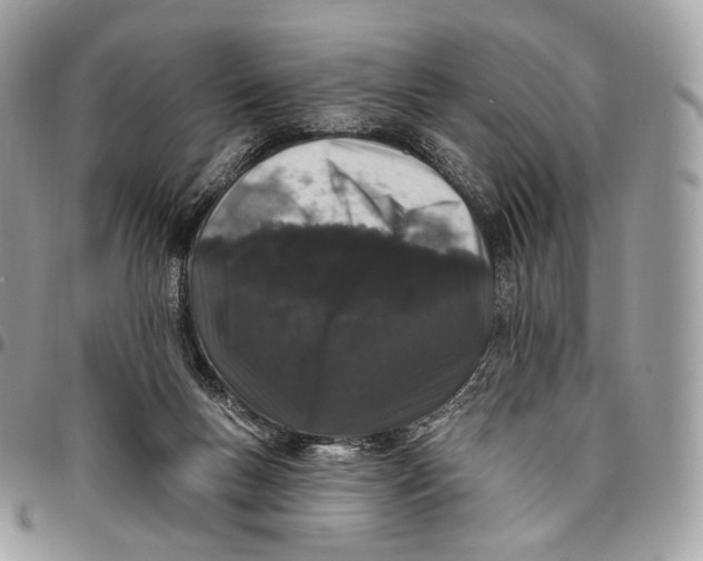 X0000096410167200802141549