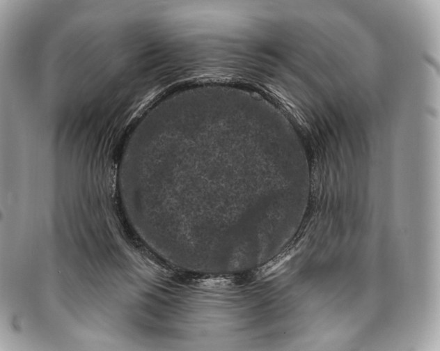 X0000096410168200802141549