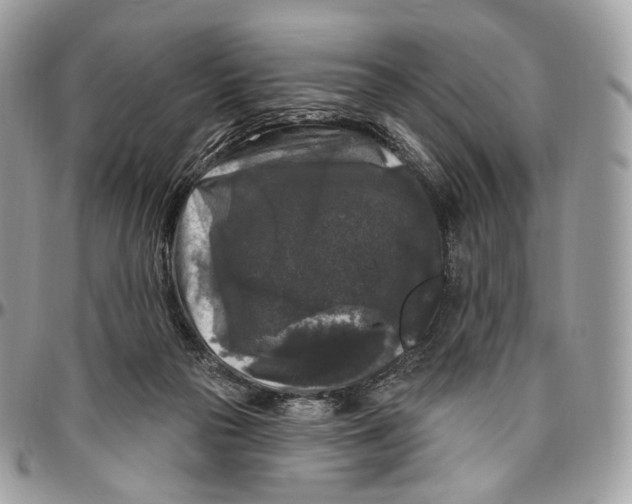 X0000096410169200802141549