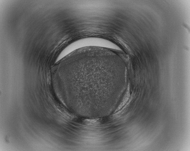 X0000096410170200802141549