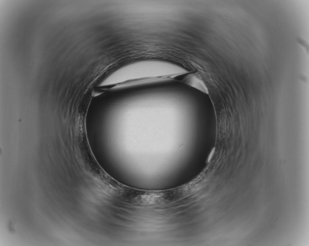 X0000096410172200802141549