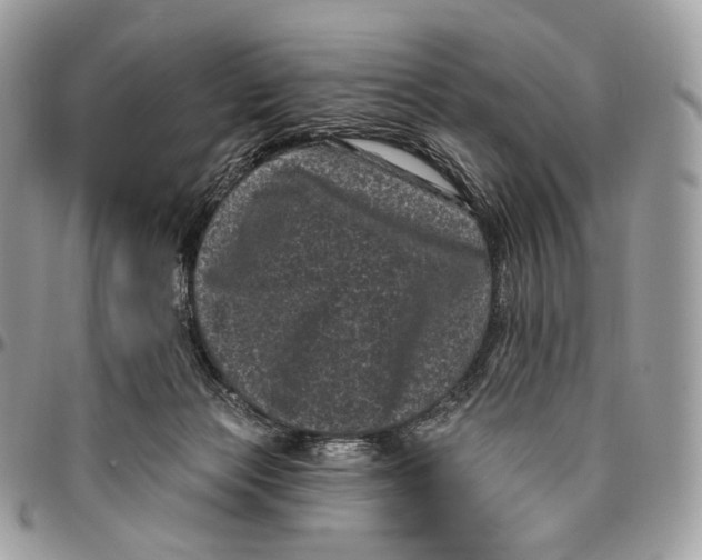 X0000096410173200802141549