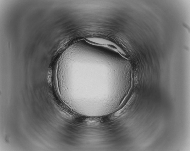 X0000096410175200802141549