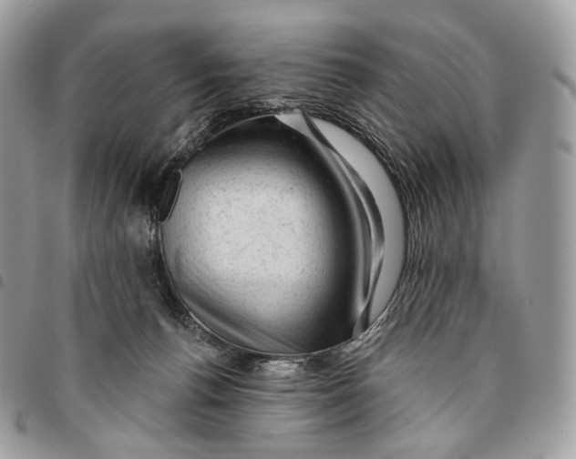 X0000096410176200802141549