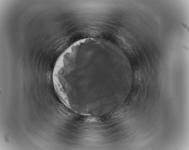 X0000096410177200802141549