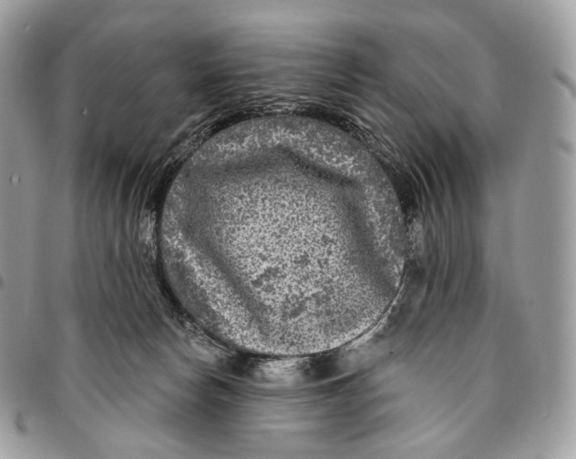 X0000096410178200802141549