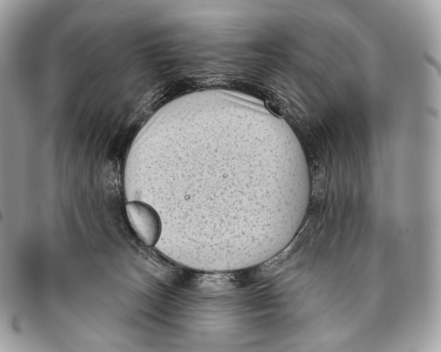 X0000096410179200802141549