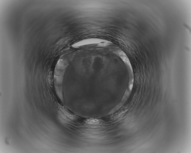 X0000096410181200802141549