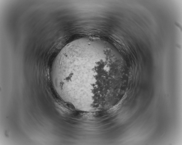 X0000096410182200802141549