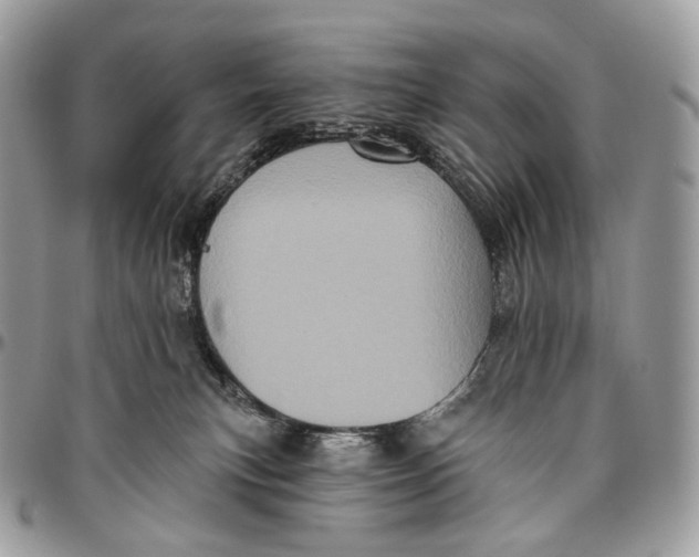 X0000096410183200802141549