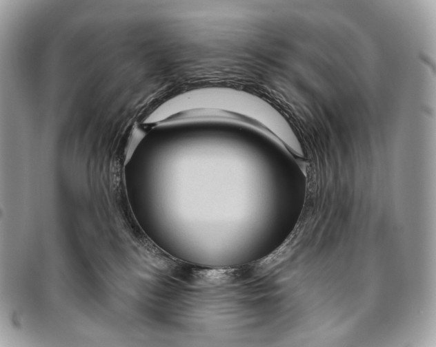 X0000096410184200802141549