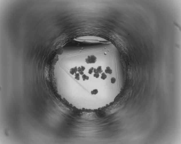 X0000096410185200802141549