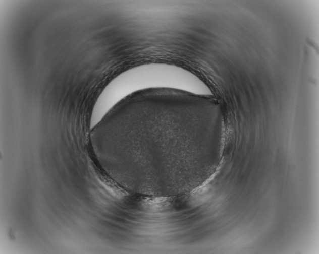 X0000096410186200802141549