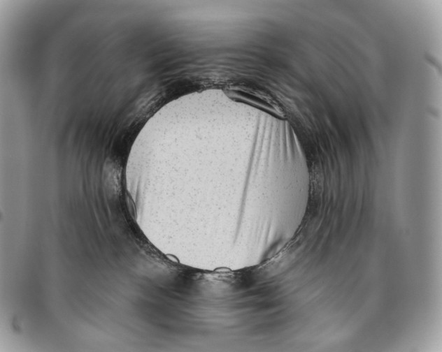 X0000096410188200802141549