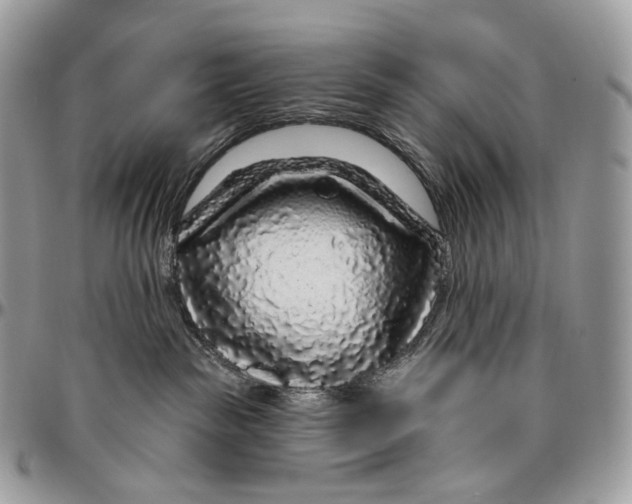 X0000096410189200802141549