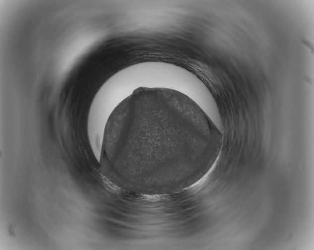 X0000096410190200802141549