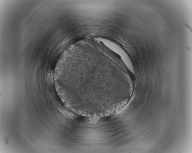 X0000096410191200802141549