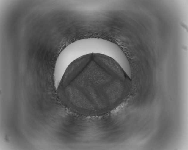 X0000096410192200802141549