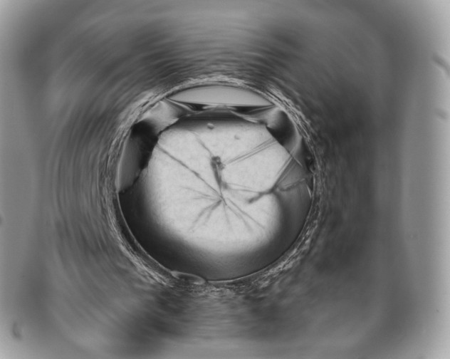 X0000096410193200802141548