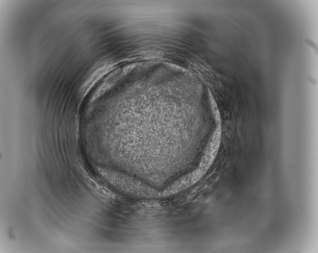 X0000096410194200802141548