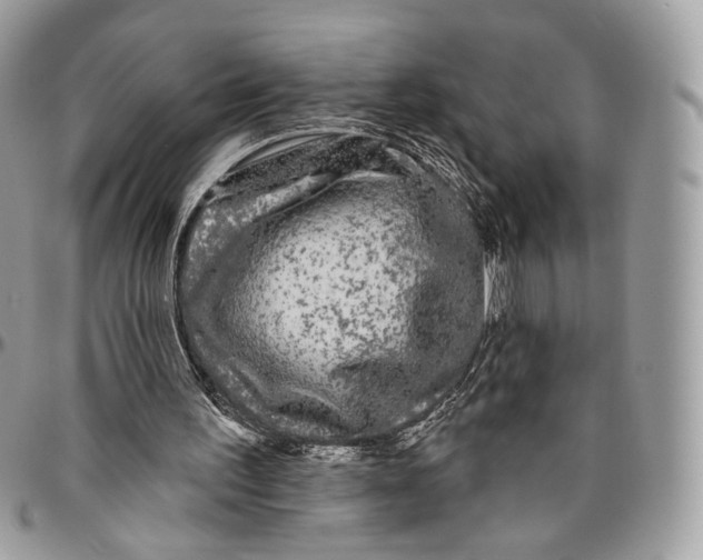 X0000096410195200802141548