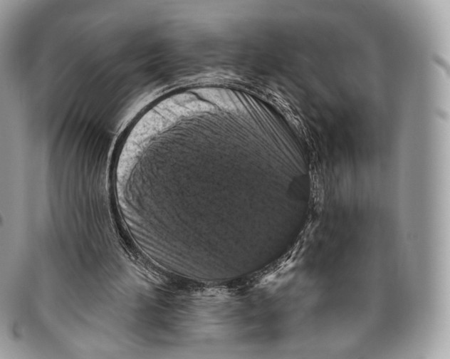 X0000096410196200802141548