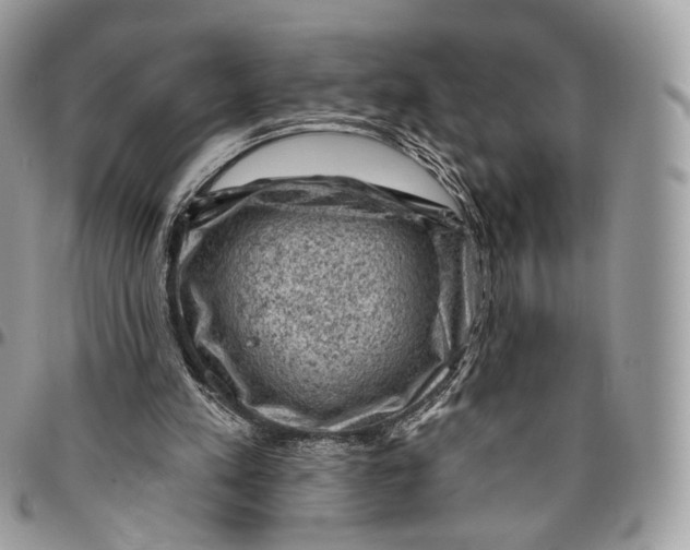 X0000096410197200802141548