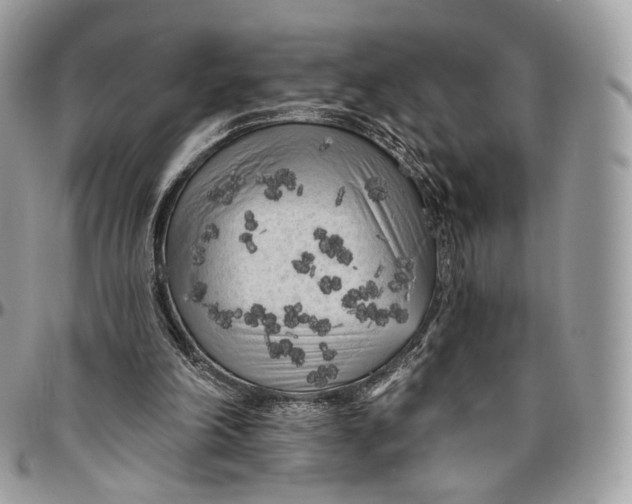 X0000096410198200802141548