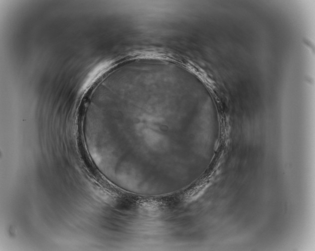 X0000096410199200802141548