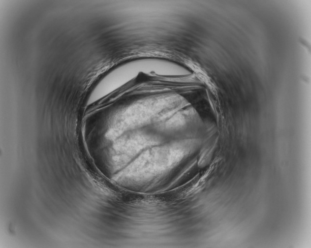 X0000096410201200802141548