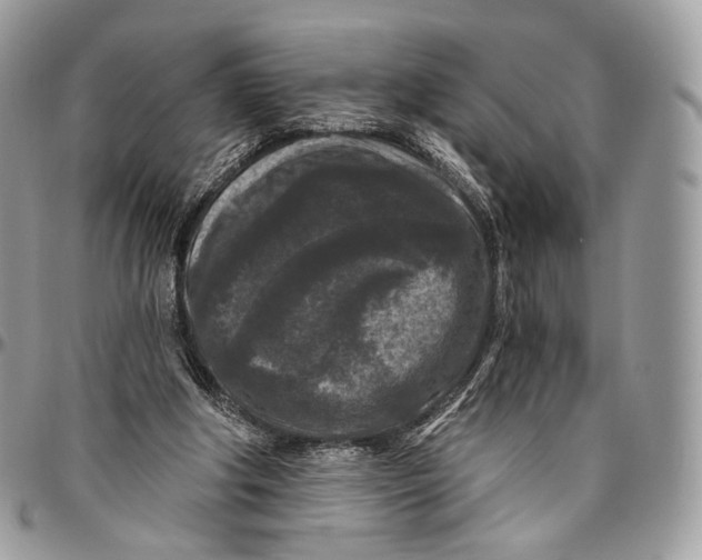 X0000096410202200802141548