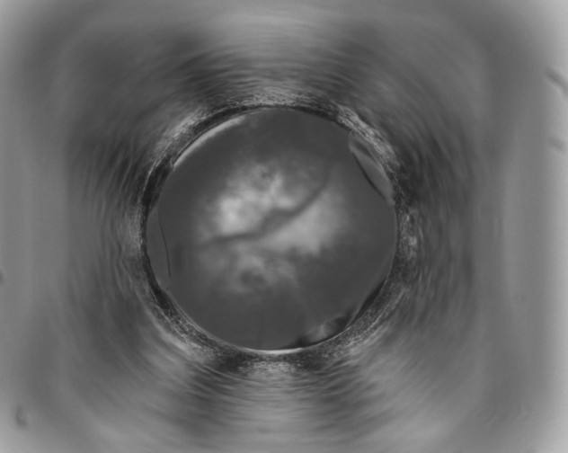 X0000096410203200802141548