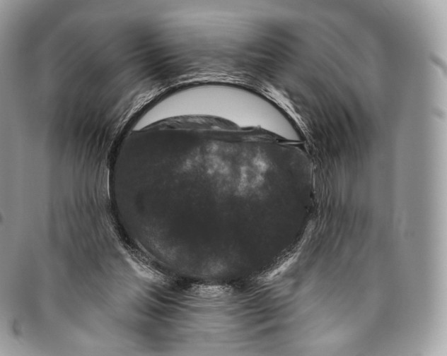 X0000096410205200802141548