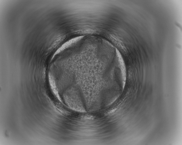 X0000096410206200802141548