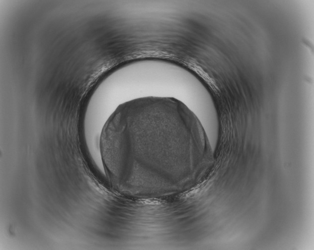 X0000096410207200802141548