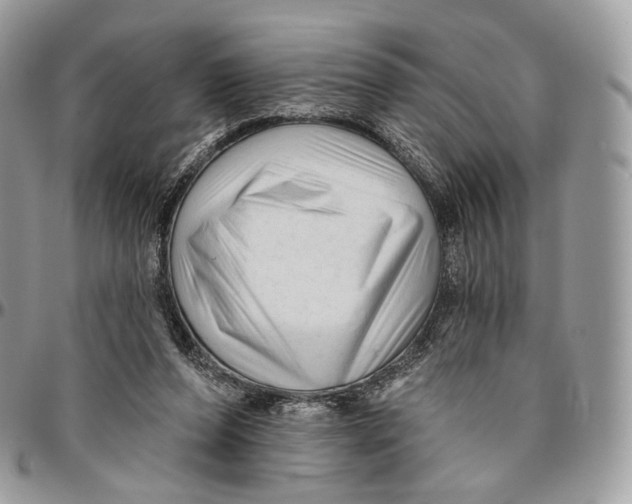 X0000096410208200802141548