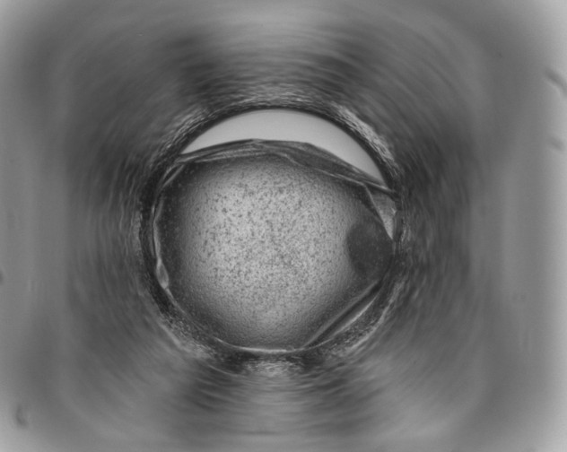 X0000096410209200802141548