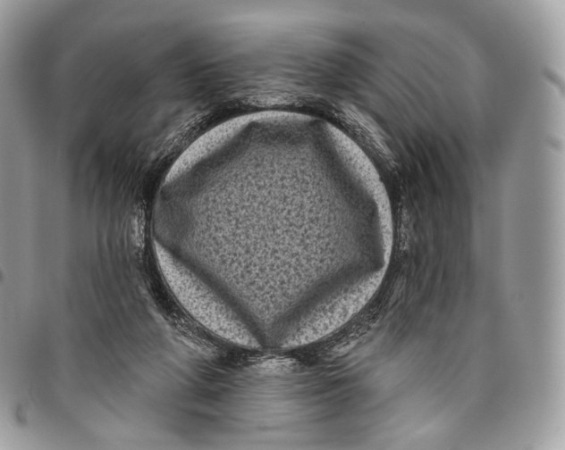 X0000096410210200802141548