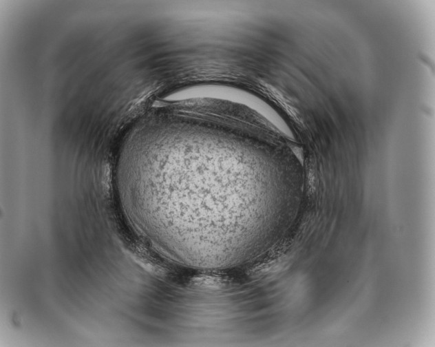 X0000096410211200802141548