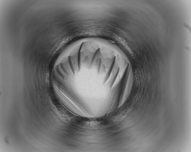 X0000096410212200802141548