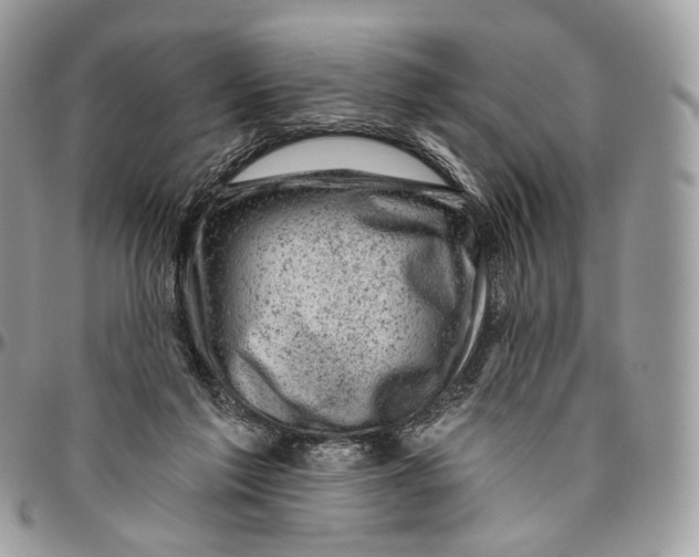 X0000096410213200802141548