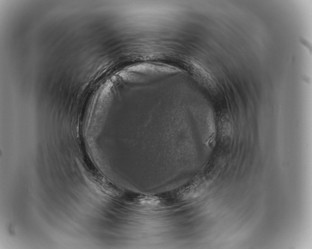 X0000096410214200802141548