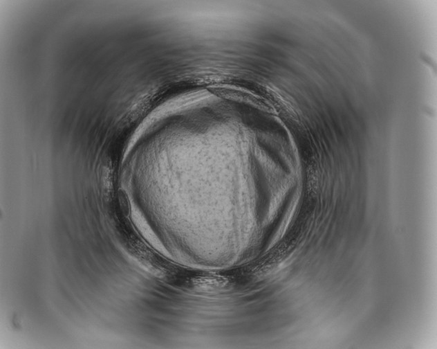 X0000096410215200802141548