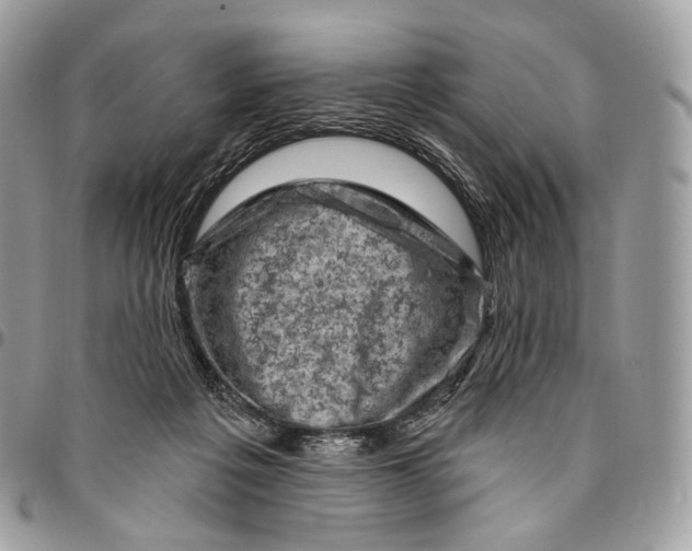 X0000096410217200802141548