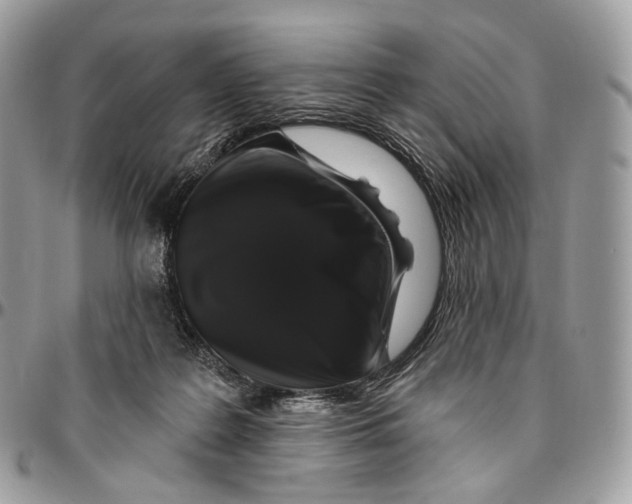 X0000096410219200802141548