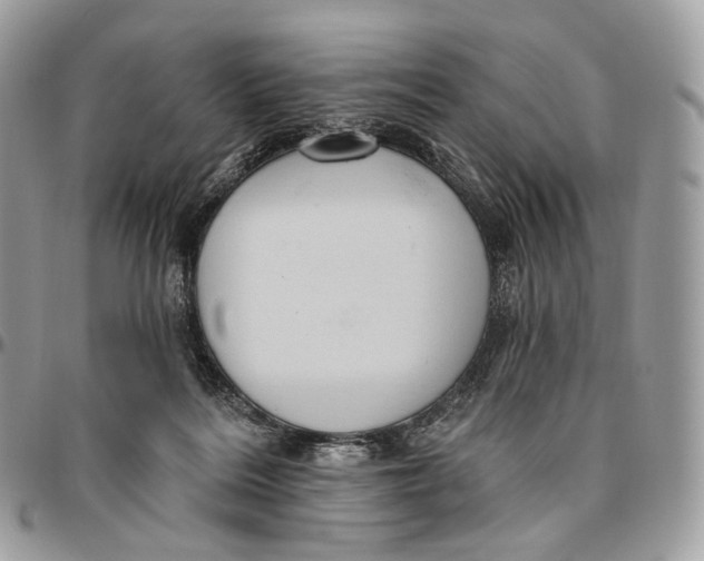 X0000096410220200802141548